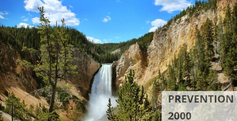Yellowstone